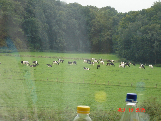 DSC01154.JPG