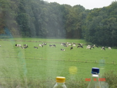 DSC01154.JPG